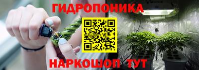 2c-b Гатчина