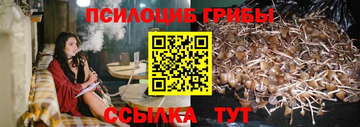 Псилоцибиновые грибы мицелий  Вход с VPN  Нерюнгри 